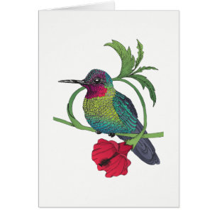 Cartão da ilustração do pássaro de Colibri