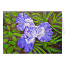 Cartão da íris