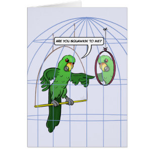 Cartão da luta da gaiola do papagaio