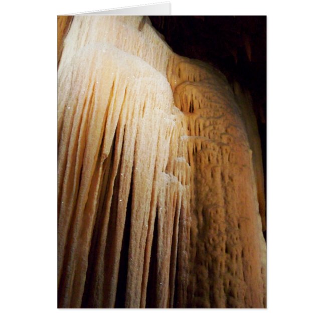 Cartão da maré de Ebb (Frente)