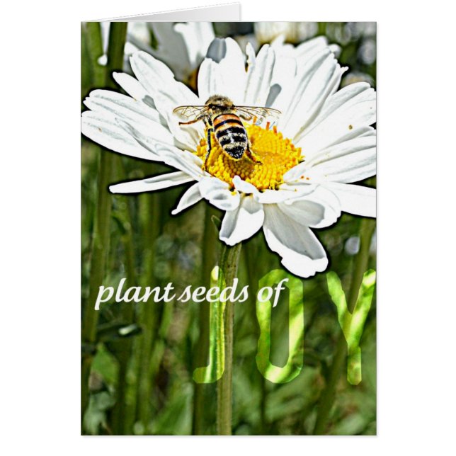 Cartão da margarida da alegria (Frente)