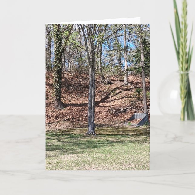 Cartão da Natureza (Frente)