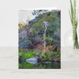 Cartão da natureza de NorCal: Cartão superior 2 do