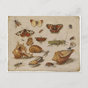 Cartão da natureza do vintage