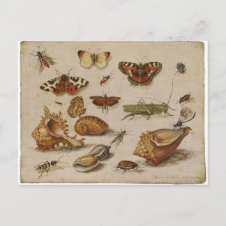 Cartão da natureza do vintage