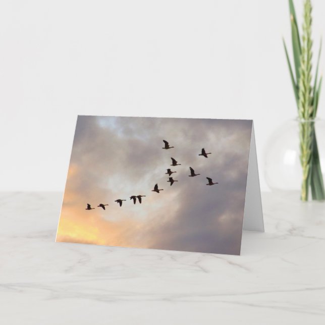 Cartão da Natureza para Celebração da Última Quimi (Frente)