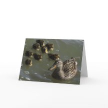 Cartão da Nova Iorque