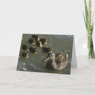 Cartão da Nova Iorque