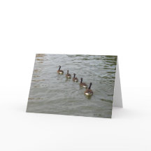 Cartão da Nova Iorque