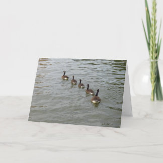 Cartão da Nova Iorque