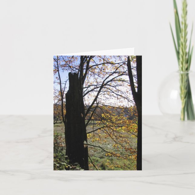 Cartão da observação e da imaginação (Frente)