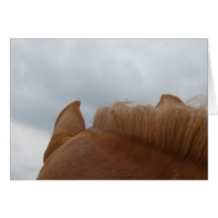 Cartão Da opinião de um cavalo, das orelhas e do pescoç