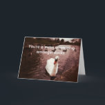 Cartão da piada do feliz aniversario<br><div class="desc">Diga a seu melhor amigo a verdade em seu aniversário.</div>