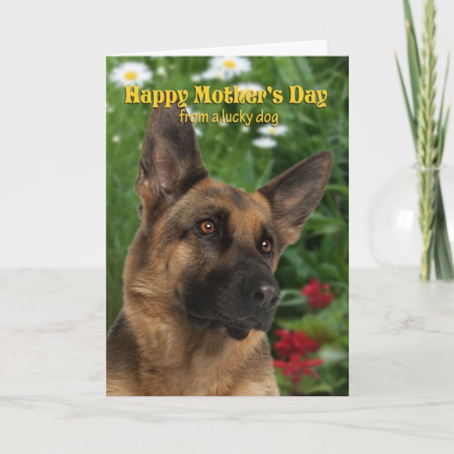 Cartão Da placa de Dia de as mães do German shepherd (Frente)