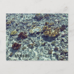 Cartão da praia de Maldives