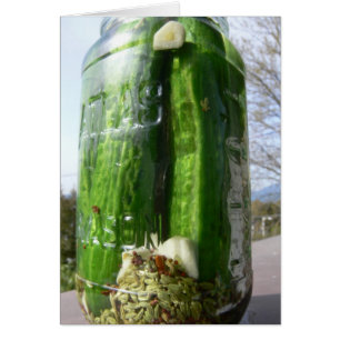 Cartão da receita da salmoura de aneto