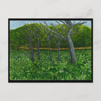 Cartão da serenidade da montanha