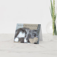 Cartão da sesta do gato