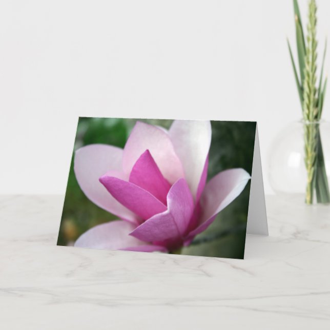 cartão da tulipa 001 (Frente)