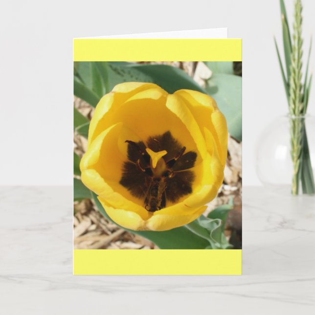 Cartão da tulipa da abelha ocupada (Frente)