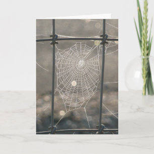 Cartão da Web de aranha