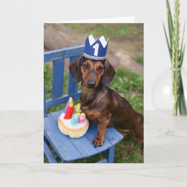 Cartão Dachshund Doxy Birthday Card Weiner Cachorro Cacho (Frente)