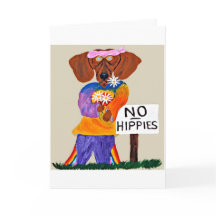 Dachshund Hippie no sinal Sem Hippies