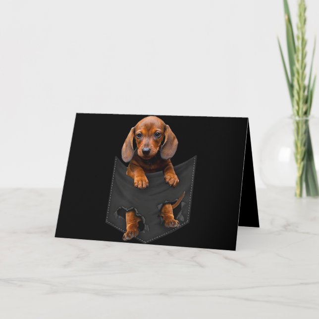 Cartão Dachshund No Meu Pocket Dachshund Weiner Dog Gift (Frente)