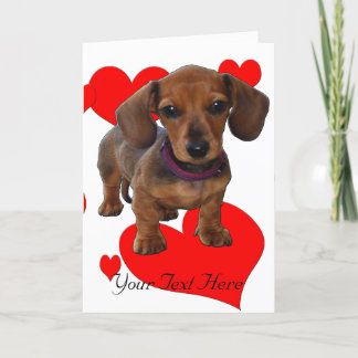 Cartão DACHSHUND Puppy com Corações