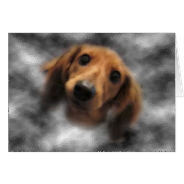 Cartão Dachshund Red LH (Frente Horizontal)