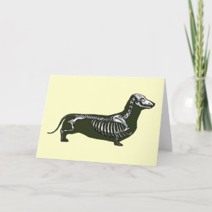Cartão dachshund skeleton