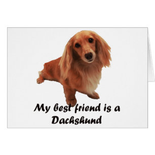 Cartão "Dackel "