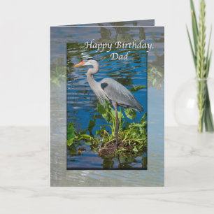Cartão Dad's Birthday, Great Blue Heron