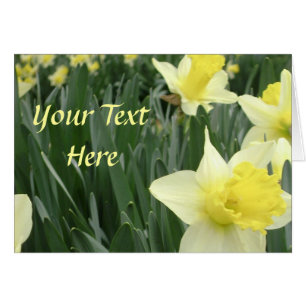 Cartão Daffodil