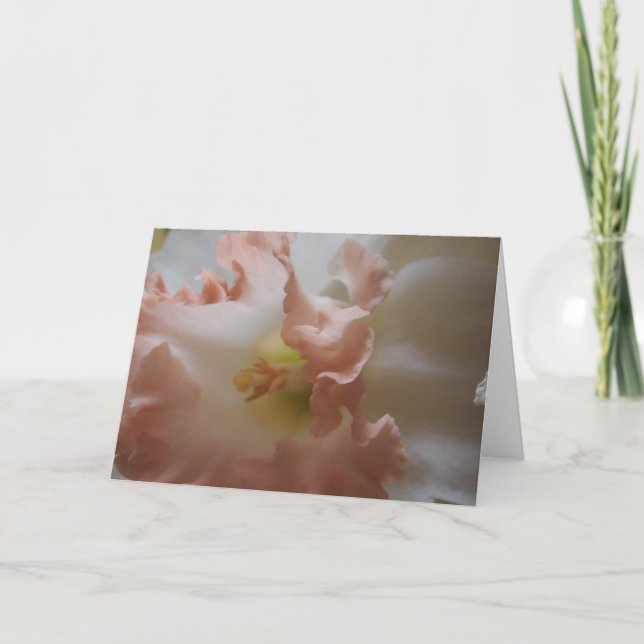 Cartão Daffodil (Frente)