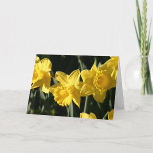 Cartão Daffodil 023