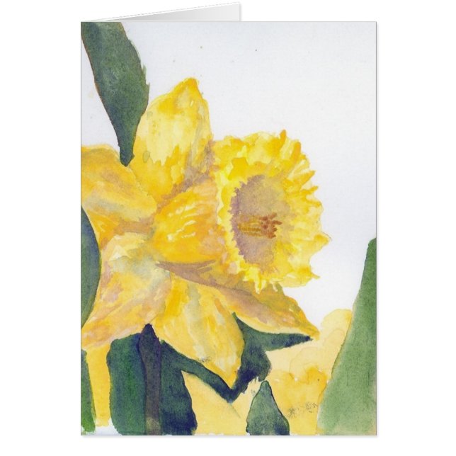 Cartão Daffodil Amarelo (Frente)