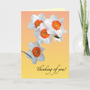 Cartão Daffodil Birthday Card