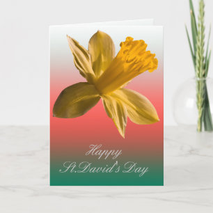 Cartão Daffodil Card