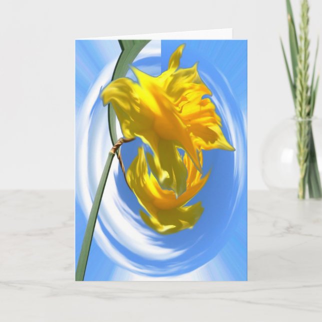 Cartão Daffodil Dayz (Frente)