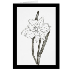 Cartão Daffodil duplo