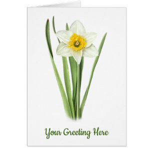 Cartão Daffodil Flower