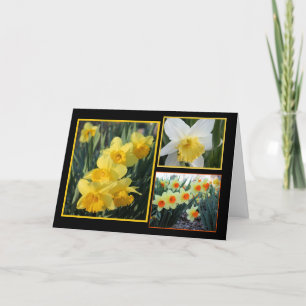 Cartão Daffodil Trio