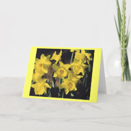 Cartão Daffodils
