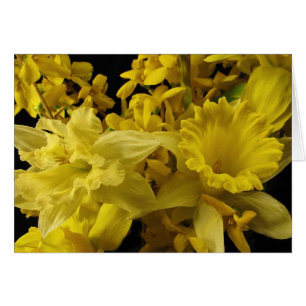 Cartão Daffodils e Forsythia