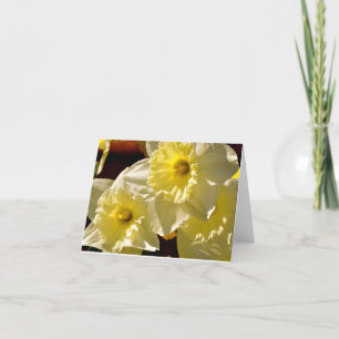 Cartão Daffodils Note Card