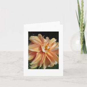 Cartão Dahlia
