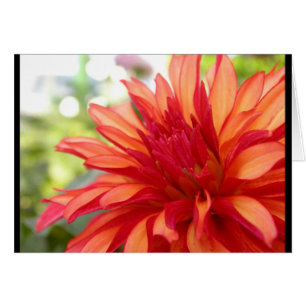 Cartão Dahlia