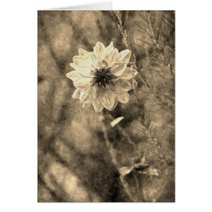 Cartão Dahlia