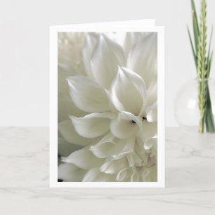 Cartão Dahlia Greeting Card